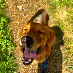 Meet your Posher, Blake